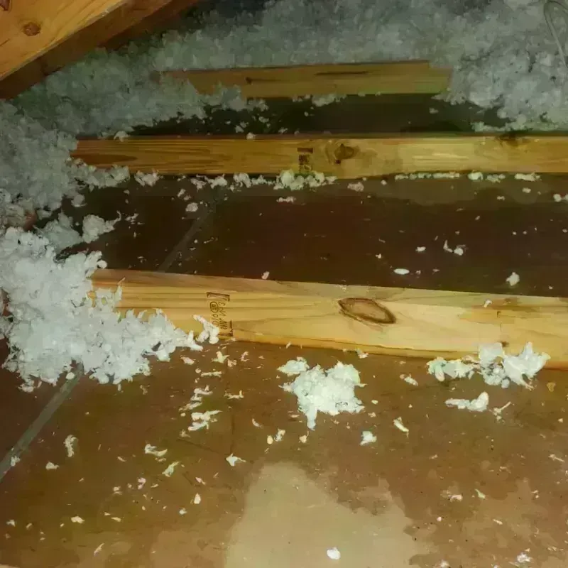 Attic Water Damage in Stephens County, OK