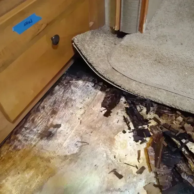 Wood Floor Water Damage in Stephens County, OK